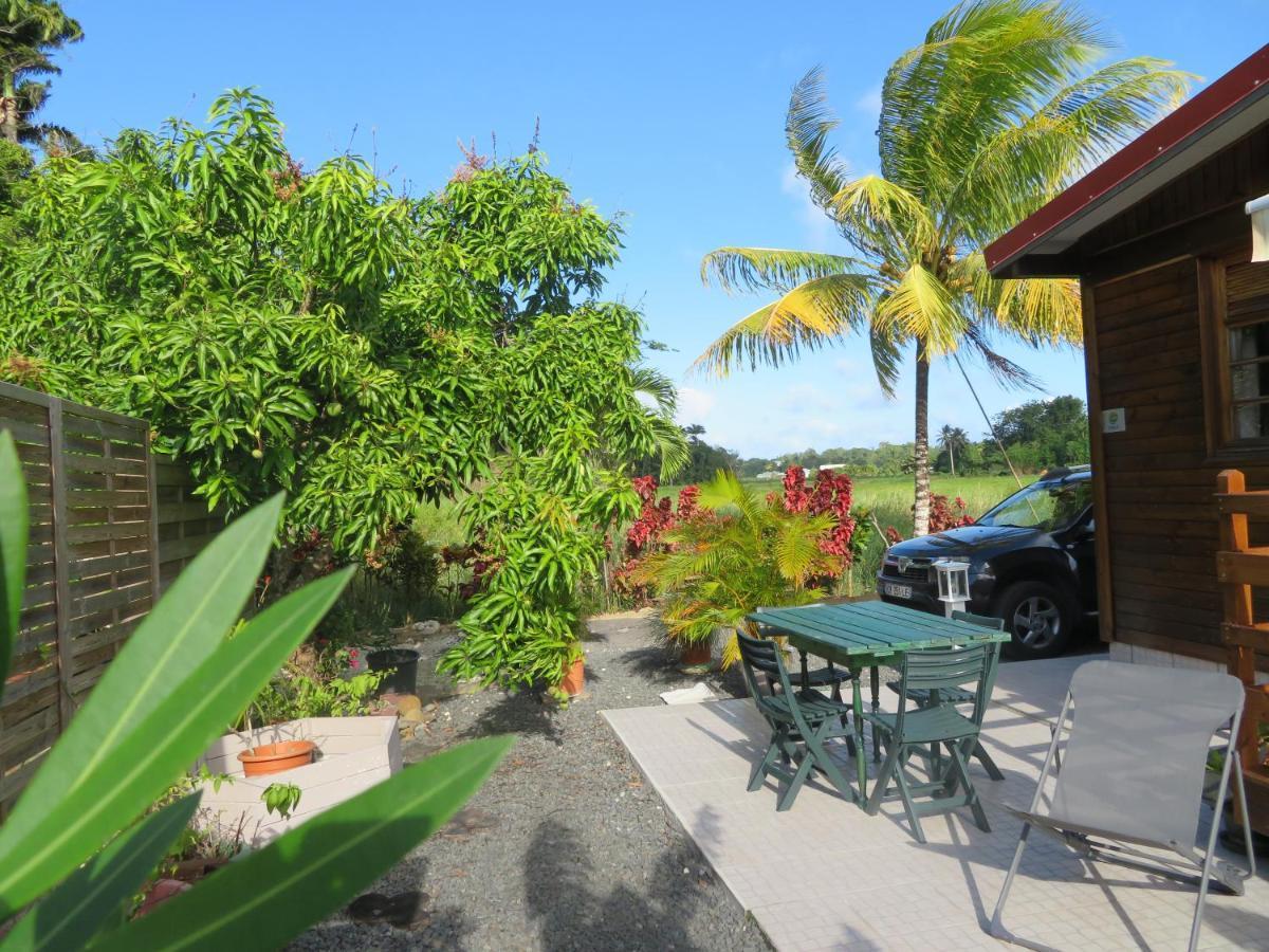 Bungalow Des Paletuviers Morne-a-l'Eau Экстерьер фото